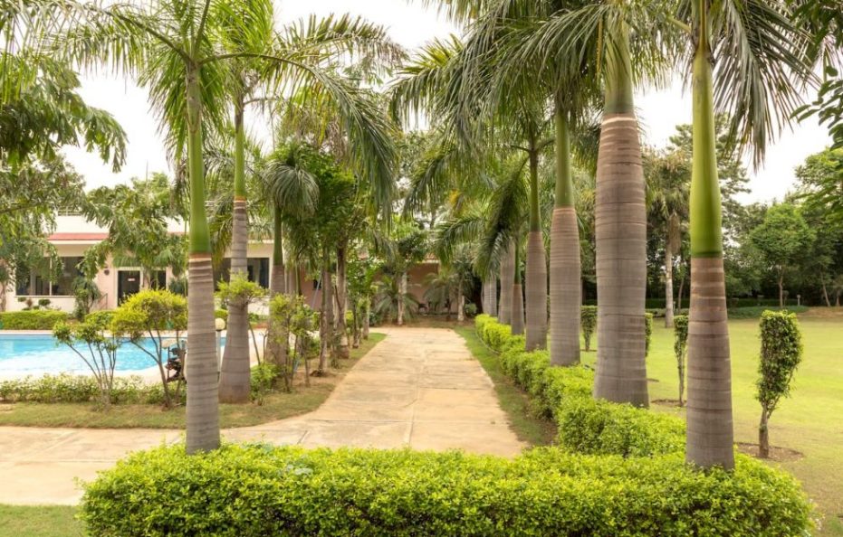 Manesar: Luxurious 4 Bedroom Farmhouse with Pool (BF)